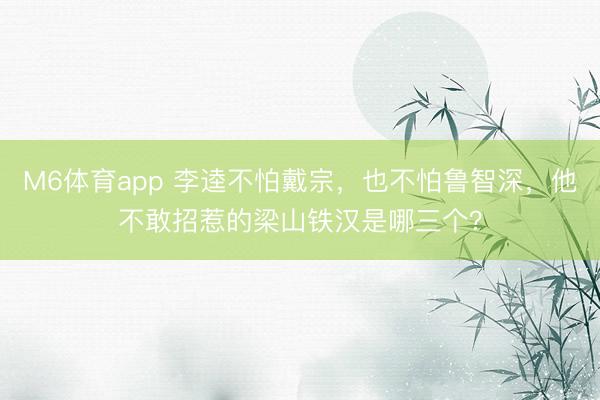 M6体育app 李逵不怕戴宗，也不怕鲁智深，他不敢招惹的梁山铁汉是哪三个？