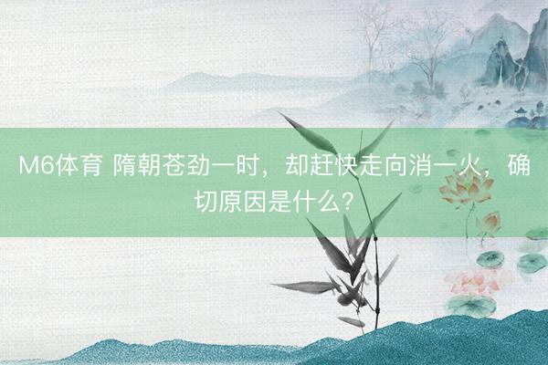 M6体育 隋朝苍劲一时，却赶快走向消一火，确切原因是什么？