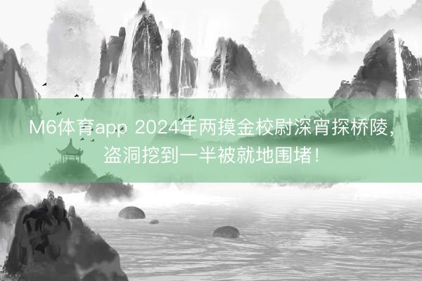 M6体育app 2024年两摸金校尉深宵探桥陵,盗洞挖到一半被就地围堵!