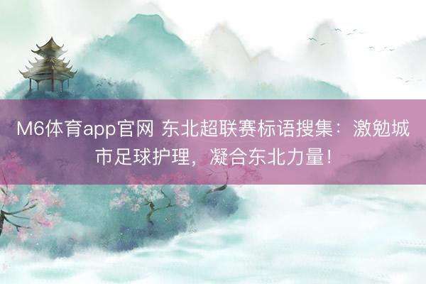 M6体育app官网 东北超联赛标语搜集:激勉城市足球护理,凝合东北力量!