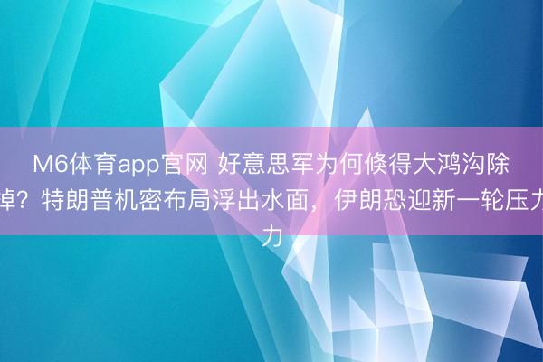 M6体育app官网 好意思军为何倏得大鸿沟除掉？特朗普机密布局浮出水面，伊朗恐迎新一轮压力