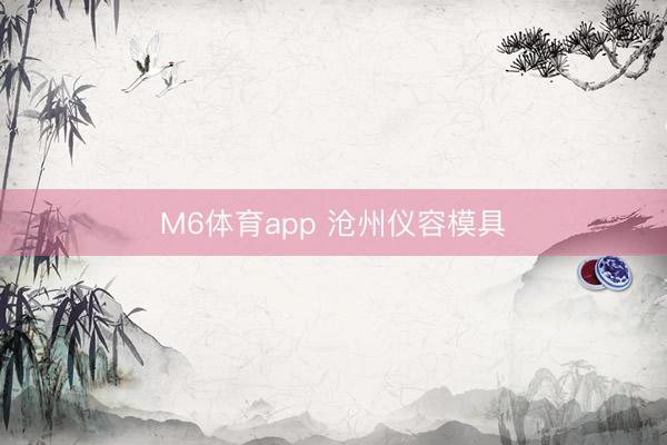 M6体育app 沧州仪容模具