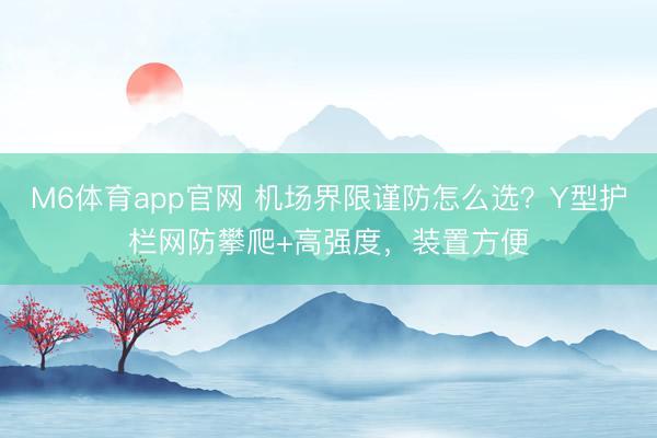 M6体育app官网 机场界限谨防怎么选？Y型护栏网防攀爬+高强度，装置方便