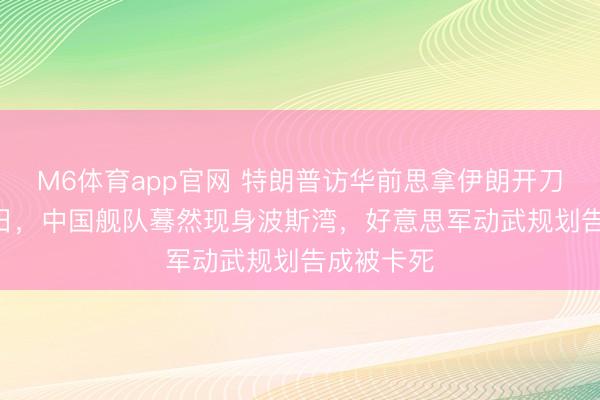 M6体育app官网 特朗普访华前思拿伊朗开刀！2月24日，中国舰队蓦然现身波斯湾，好意思军动武规划告成被卡死