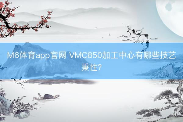 M6体育app官网 VMC850加工中心有哪些技艺秉性？