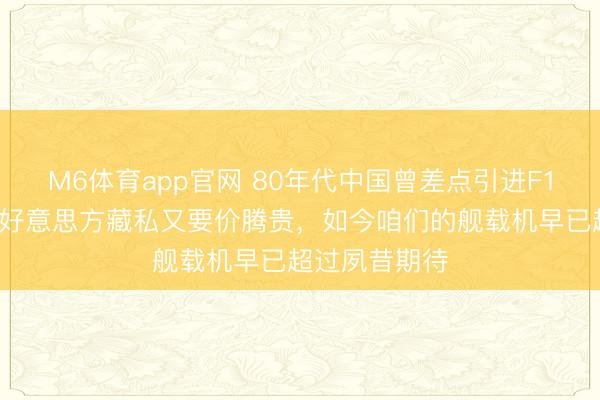 M6体育app官网 80年代中国曾差点引进F14雄猫战机，好意思方藏私又要价腾贵，如今咱们的舰载机早已超过夙昔期待