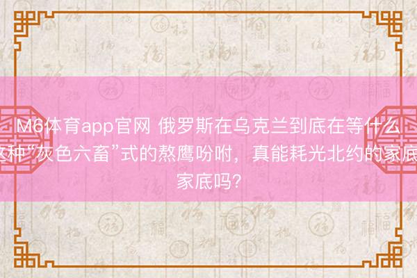 M6体育app官网 俄罗斯在乌克兰到底在等什么？这种“灰色六畜”式的熬鹰吩咐，真能耗光北约的家底吗？