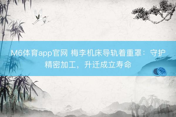 M6体育app官网 梅李机床导轨着重罩：守护精密加工，升迁成立寿命