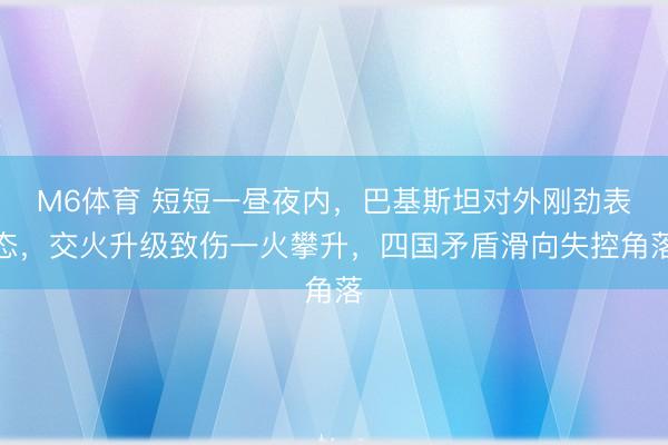 M6体育 短短一昼夜内，巴基斯坦对外刚劲表态，交火升级致伤一火攀升，四国矛盾滑向失控角落
