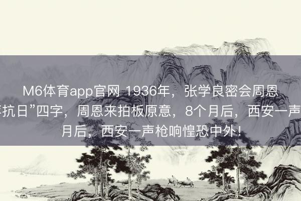 M6体育app官网 1936年，张学良密会周恩来，提议“逼蒋抗日”四字，周恩来拍板原意，8个月后，西安一声枪响惶恐中外！