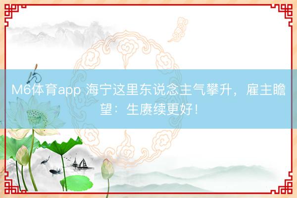 M6体育app 海宁这里东说念主气攀升，雇主瞻望：生赓续更好！
