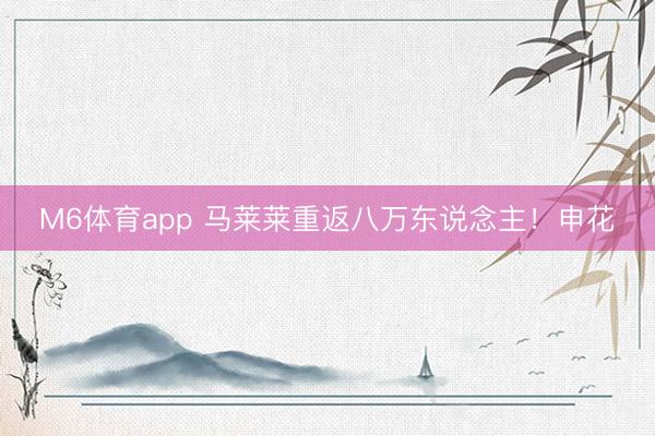 M6体育app 马莱莱重返八万东说念主！申花
