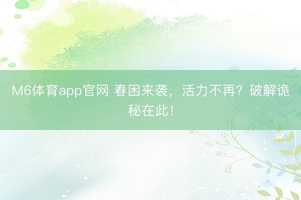M6体育app官网 春困来袭，活力不再？破解诡秘在此！