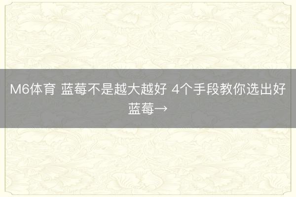 M6体育 蓝莓不是越大越好 4个手段教你选出好蓝莓→