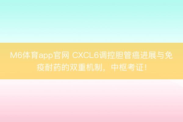 M6体育app官网 CXCL6调控胆管癌进展与免疫耐药的双重机制，中枢考证！
