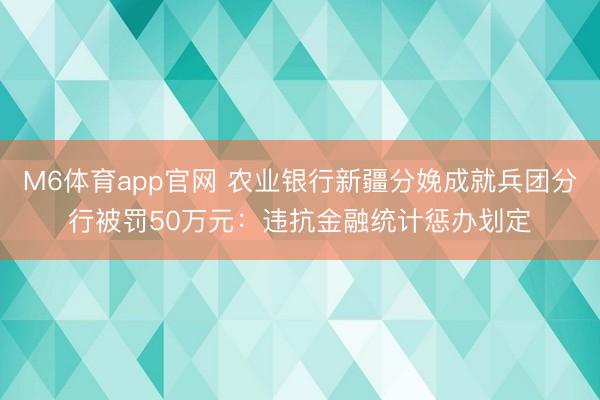 M6体育app官网 农业银行新疆分娩成就兵团分行被罚50万元：违抗金融统计惩办划定