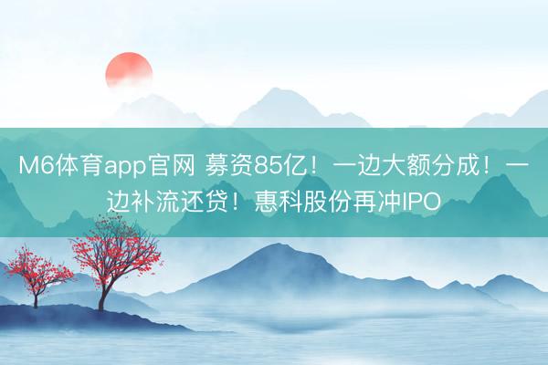 M6体育app官网 募资85亿！一边大额分成！一边补流还贷！惠科股份再冲IPO
