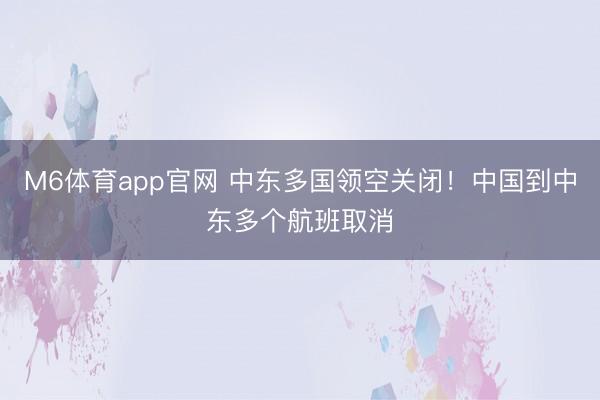 M6体育app官网 中东多国领空关闭！中国到中东多个航班取消