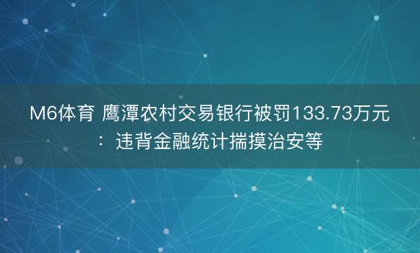 M6体育 鹰潭农村交易银行被罚133.73万元：违背金融统计揣摸治安等