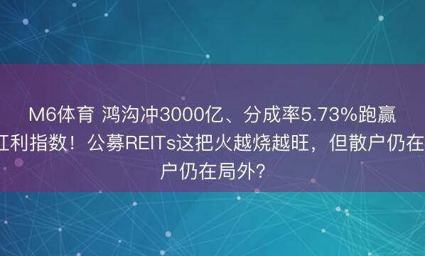 M6体育 鸿沟冲3000亿、分成率5.73%跑赢中证红利指数！公募REITs这把火越烧越旺，但散户仍在局外？