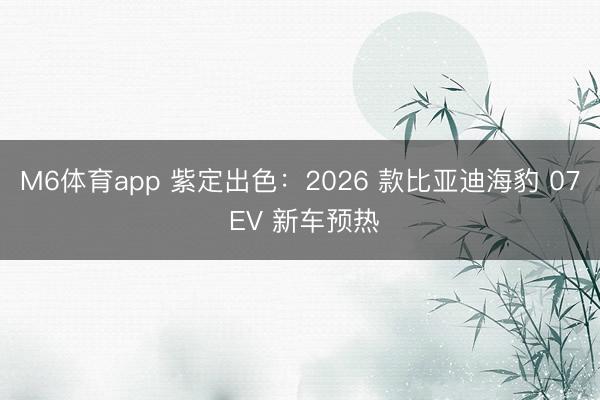 M6体育app 紫定出色：2026 款比亚迪海豹 07 EV 新车预热