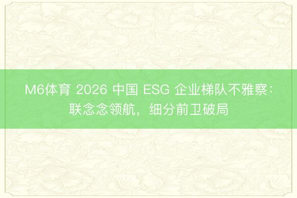 M6体育 2026 中国 ESG 企业梯队不雅察：联念念领航，细分前卫破局