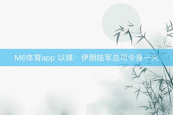 M6体育app 以媒：伊朗陆军总司令身一火
