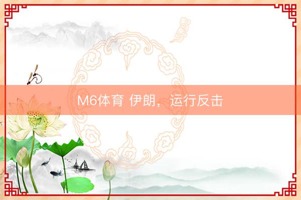 M6体育 伊朗，运行反击