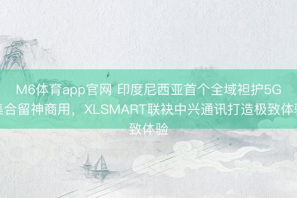 M6体育app官网 印度尼西亚首个全域袒护5G集合留神商用，XLSMART联袂中兴通讯打造极致体验