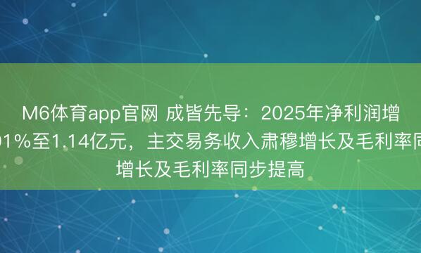 M6体育app官网 成皆先导：2025年净利润增长122.01%至1.14亿元，主交易务收入肃穆增长及毛利率同步提高