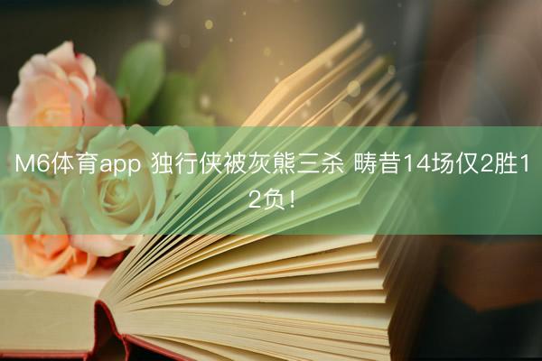 M6体育app 独行侠被灰熊三杀 畴昔14场仅2胜12负！