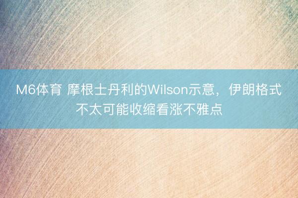 M6体育 摩根士丹利的Wilson示意,伊朗格式不太可能收缩看涨不雅点