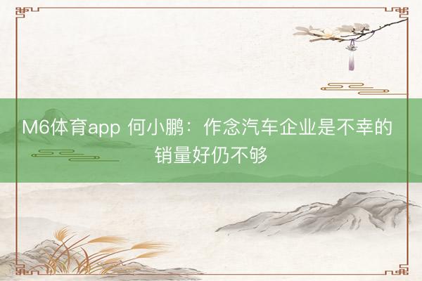 M6体育app 何小鹏:作念汽车企业是不幸的 销量好仍不够
