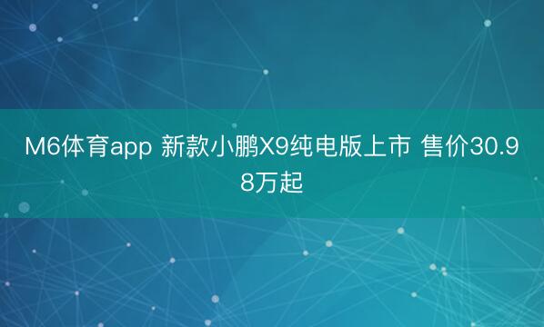 M6体育app 新款小鹏X9纯电版上市 售价30.98万起