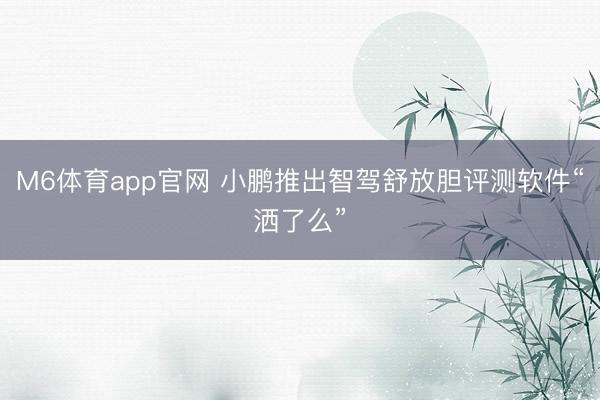 M6体育app官网 小鹏推出智驾舒放胆评测软件“洒了么”