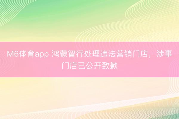 M6体育app 鸿蒙智行处理违法营销门店，涉事门店已公开致歉