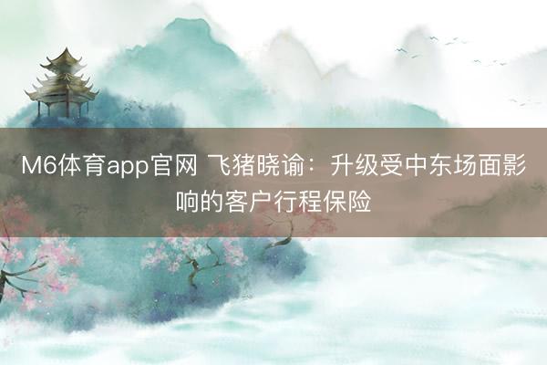 M6体育app官网 飞猪晓谕：升级受中东场面影响的客户行程保险