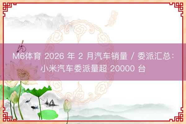 M6体育 2026 年 2 月汽车销量 / 委派汇总：小米汽车委派量超 20000 台