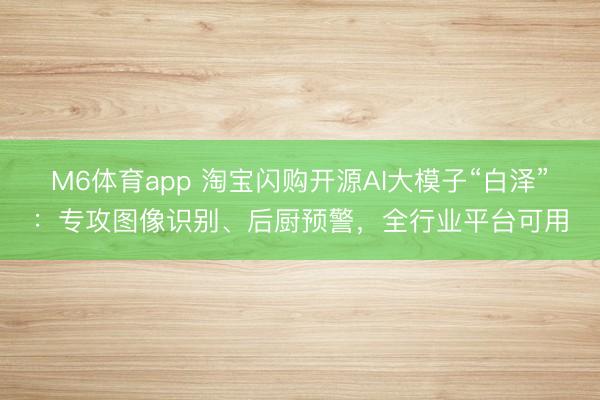 M6体育app 淘宝闪购开源AI大模子“白泽”：专攻图像识别、后厨预警，全行业平台可用