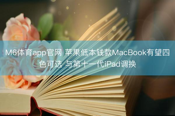 M6体育app官网 苹果低本钱款MacBook有望四色可选 与第十一代iPad调换