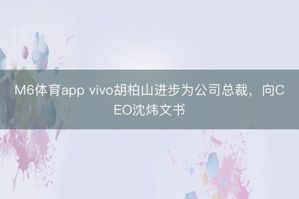 M6体育app vivo胡柏山进步为公司总裁，向CEO沈炜文书