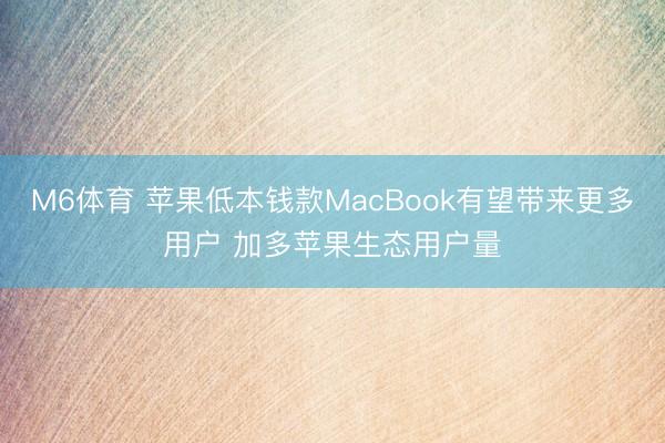 M6体育 苹果低本钱款MacBook有望带来更多用户 加多苹果生态用户量