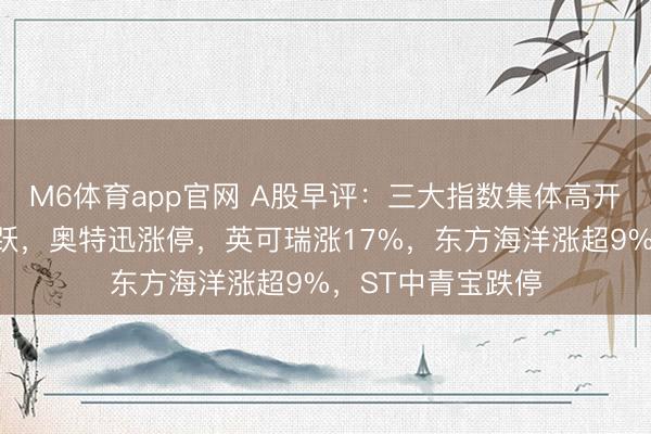 M6体育app官网 A股早评：三大指数集体高开，充电桩认识活跃，奥特迅涨停，英可瑞涨17%，东方海洋涨超9%，ST中青宝跌停