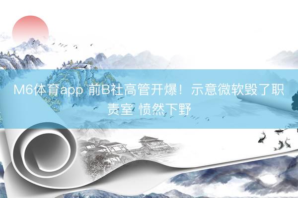 M6体育app 前B社高管开爆!示意微软毁了职责室 愤然下野