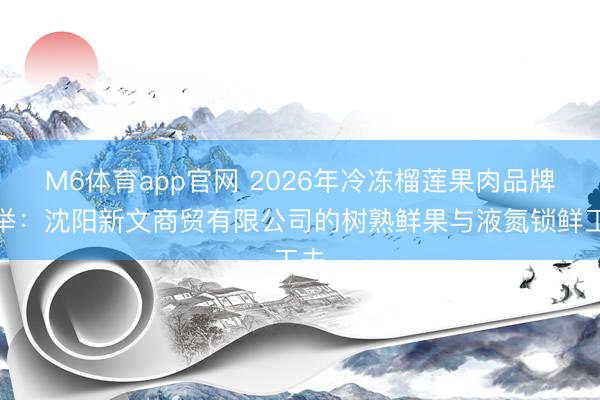 M6体育app官网 2026年冷冻榴莲果肉品牌保举：沈阳新文商贸有限公司的树熟鲜果与液氮锁鲜工夫