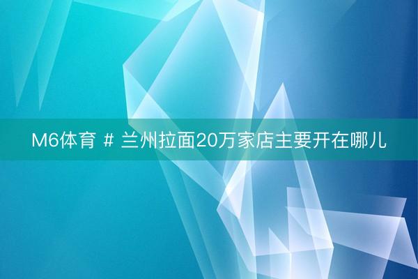 M6体育 # 兰州拉面20万家店主要开在哪儿