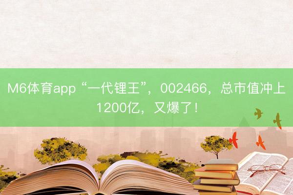 M6体育app “一代锂王”，002466，总市值冲上1200亿，又爆了！