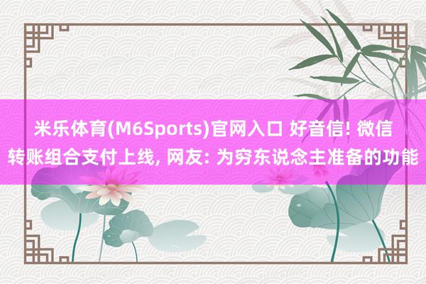 米乐体育(M6Sports)官网入口 好音信! 微信转账组合支付上线， 网友: 为穷东说念主准备的功能