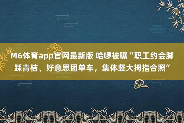 M6体育app官网最新版 哈啰被曝“职工约会脚踩青桔、好意思团单车，集体竖大拇指合照”
