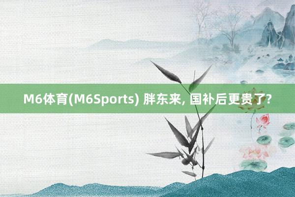 M6体育(M6Sports) 胖东来， 国补后更贵了?